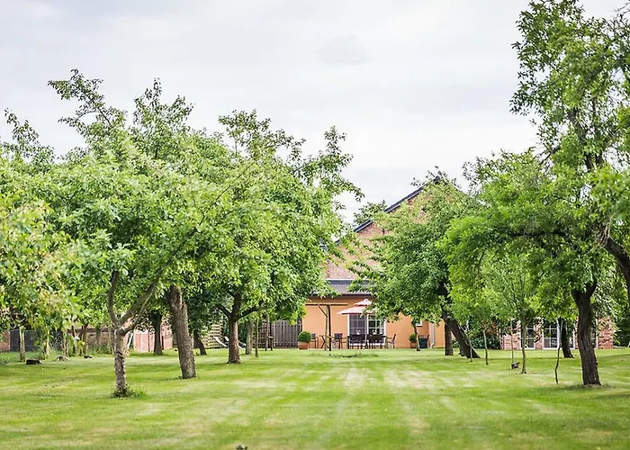 Sükow Сasa de vacaciones *